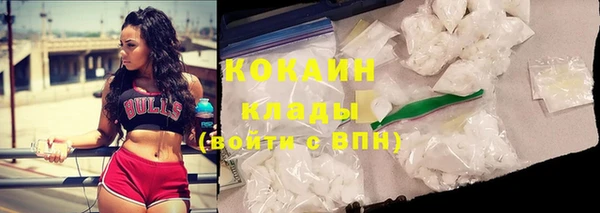 индика Абинск