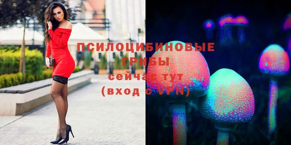 МДПВ Майский