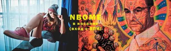 индика Абинск
