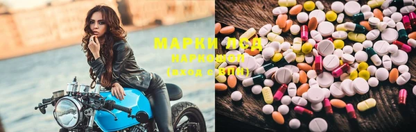 PSILOCYBIN Магас